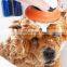 Pets Bath Shower Head Cats and Dogs Bath Sprayer Pet Massage Cleaning Supplies