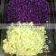 Hot sales ginger,carrot,garlic,cabbages mincer machine DX-40