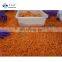 Sinocharm BRC A approved 4-8CM IQF Carrot Strip Frozen Carrot Strip