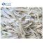 Sinocharm Healthy and fresh without foreign matter  Organic Frozen Burdock Strips IQF Burdock