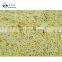 Sinocharm ISO Certified Frozen Bamboo Shoot Strips
