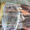 Frozen Illex Squid Supplier size 200 - 300 g