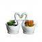 Cute White Swan Small Ceramic Vase onlineSucculent Plant Pot Planter Cactus Garden Pot On Line (pack of 2)