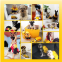 toLuxembourgDHLInternationalExpress.LuxembourgFedexInternationalExpress,LuxembourgUPSInternationalExpress
