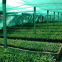 HDPE Monofilament Green Shade Net 50% 75% Shading Plants Windbreaker Shade Cloth