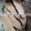 Frozen grey mullet fillets 280g+/pc