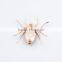 rose gold Spider animal diamand brooches in bulk cheap wholesale price bulk