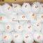 2015 new crop Chinese fresh Ya pear for export