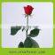 Exquisite quality fresh cut roses