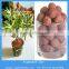 Growing media expanded clay pebble as decoratives for pot plants