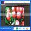 wholesale price  full color waterproof SMD P6 Die-cast aluminum outdoor led display
