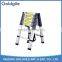 Goldgile Double-sided telescopic ladder with EN131-6
