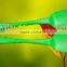 100% biodegradable plastic ice cream shovel spoon