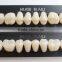 CE Certification Synthetic Polymer Teeth