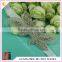 HC-7566-1 Hechun Flower Shape Glass Beaded Bridal Sash Belt