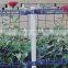 Bending triangular welding net fencing/garden fence (roads wire mesh series)