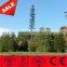 23M Steel Polygonal Artificial Pine Tree Tower