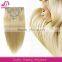 How Much Are Thick Human Cheap Best Indian Remy Clip In Hair Extensions