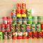 Canned Mackerel Fish in Tomato Sauce