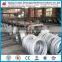 80g zinc oval steel wire for South American farm
