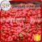 Kosher approval snack food dried goji berries importers