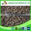 Block Shape new season preserved dried mushroom