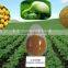 High quality Soybean Extract Soy isoflavones 40%