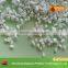 Potassium Fertilizer SOP/ MOP fertilizer