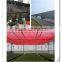 HDPE Sun shade net 70gsm , shade net greenhouse