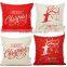 New Design Fashion Custom Pillow