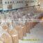 A great source of protein natural food dried mealworm bird food