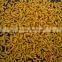 Instant Rice/Nutritional Rice Food /Artificial rice Processing line/machine
