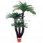 SJ300915 Decorative cycas revoluta tree/artificial cycas revoluta bonsai plant