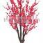 Decorative garden flower trees