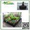 Garden Grow Bags Type PP nonwoven fabric plant bag