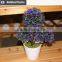 Ceramic mushroom-shaped for secretaire decoration potted plant