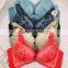 GZY New Bra Stylish Sexy Bra Sexi Girl Wear Bra Types