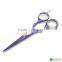 Barbers Hairdressing Scissors Shears Hair Cutting Scissors Salon Razor Blade 6"