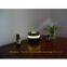 Ultrasonic Humidifier