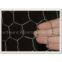 Hexagonal Wire Mesh