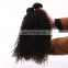 Free hair weave samples human remy hair