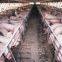 Low Cost Steel Structural Building Fabrication Poultry Farm Shed for Pig/Cow/Goat in America