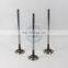 Truck Engine Parts Intake Valve D5010359502 5010359502 For DCi11 Engine