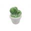 customized hand painted green plant cactus shape ceramic cookie candy storage jar canister with lid