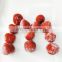 Sinocharm BRC-A Approved High Quality Strawberry IQF  Frozen Strawberry