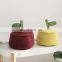 Hand-woven Apple Storage Baskets Quality Cotton Rope Practical Sundries Cosmetic Organizer