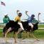 Ostrich Riding Competition Timing System