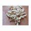 High Quality Chloroprene Rubber CAS 9010-98-4 Polychloroprene for Rubber Materials