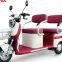 Latest 500W Steel Frame Double Row Passenger and Cargo Dual Use Electric Leisure Tricycle