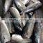 2015 frozen bonito HGT 300g+/pc for canned